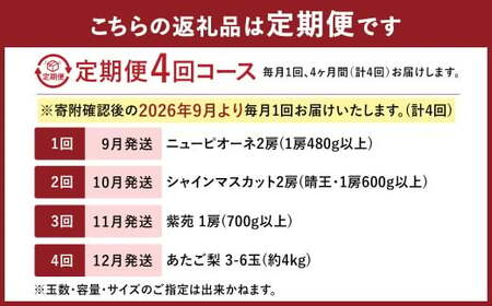 【4回定期便】 ニューピオーネ 晴王 紫苑 あたご梨 【2026年9月上旬より順次発送開始】 梨 葡萄 ブドウ ぶどう フルーツ 果物 ギフト 国産 岡山県産