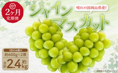 【2回定期便】岡山県産 シャインマスカット 晴王 計約2.4kg 2房（1房600g以上）×2回【2026年8月下旬発送開始】 フルーツ 果物 くだもの 定期便 2回 ぶどう 葡萄 マスカット 岡山
