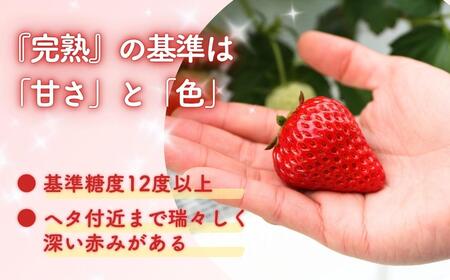 【3回定期便】西粟倉村の完熟いちご 贈答用 800g(400g×2) M-FI-B05A