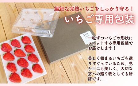 【3回定期便】西粟倉村の完熟いちご 贈答用 800g(400g×2) M-FI-B05A