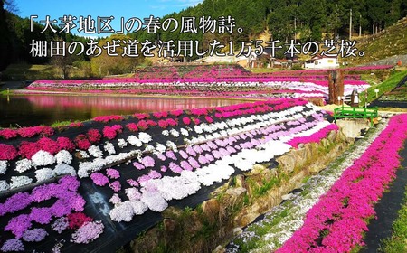 令和7年産新米予約・10月ごろよりお届け開始》玄米 30kg 令和7