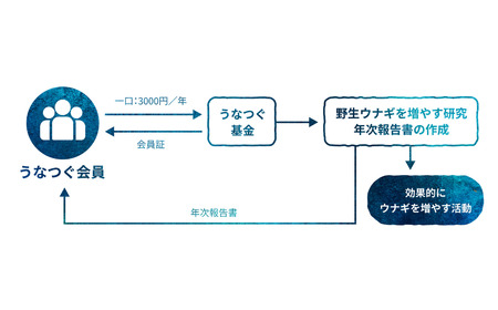 うなつぐ サポート会員（一口3,000円分）  年間会員証 A-cz-A01A