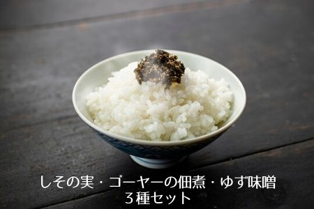 し その実 の 佃煮