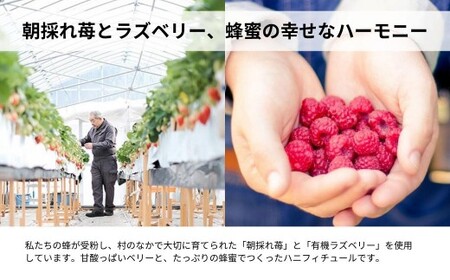 こびとジャム：苺ラズベリー＆ハニー A-MM-A24A