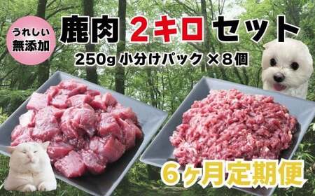 【6回定期便】 森のジビエ for PET 鹿肉 2kg ペットフード 犬 猫 A-JK-C02H