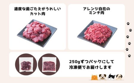 【12回定期便】 森のジビエ for PET 鹿肉 2kg ペットフード 犬 猫 A-JK-D01A