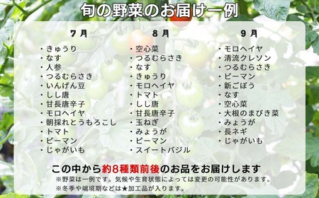 西粟倉産「旬の野菜 おまかせセット」 F-FF-A00A