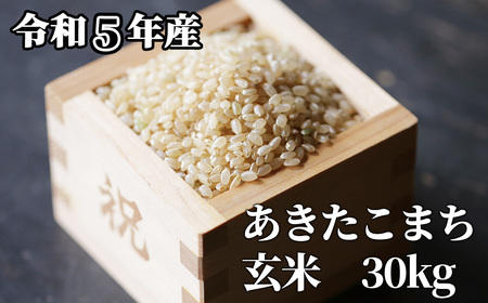 新米 令和5年岡山県北産あきたこまち 玄米30kg
