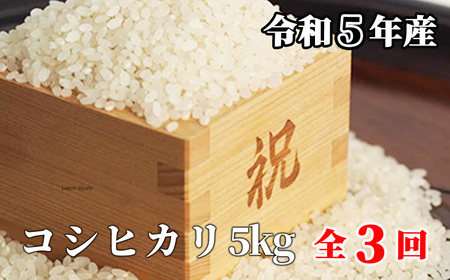 【3回定期便】白米 5kg 令和5年産 コシヒカリ 岡山 「おおがや米」生産組合 G-af-BCZA