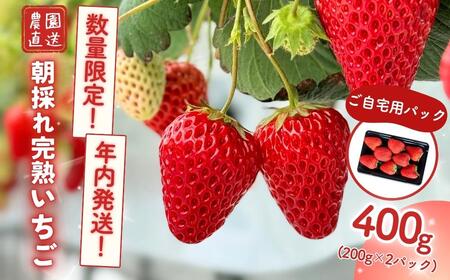 【年内発送】西粟倉村 完熟いちご 自宅用 400g(200g×2) M-FI-A23A