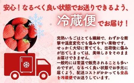 【年内発送】西粟倉村 完熟いちご 自宅用 400g(200g×2) M-FI-A23A