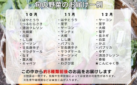 【6回定期便】西粟倉産 「旬の野菜 おまかせセット」 F-FF-C02A