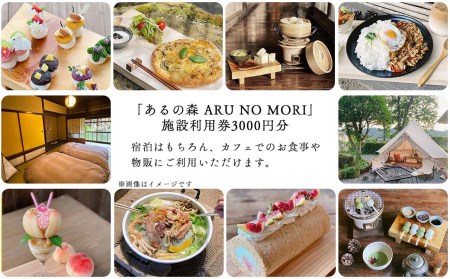 古民家タイ料理カフェ Aru no mori 施設利用券　3000円分 V-zz-A16A