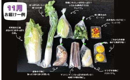 【3回定期便】＜春・夏・秋 年3回発送＞西粟倉産「旬の野菜 おまかせセット」 F-FF-B00A