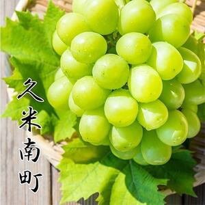 〈2026年発送先行予約〉シャインマスカット2kg以上(3房以上)【贈答品】岡山県久米南町産【配送不可地域：離島・北海道・沖縄県】【1016880】