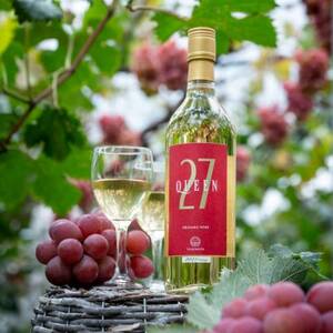 【岡山県産】QUEEN27　2021Vintage　白ワイン【1522056】