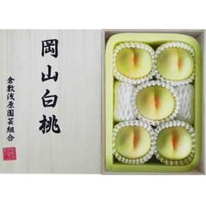 【2026年発送】岡山県産 白桃 5玉 (1.5kg以上) 等級:ロイヤル 木箱入り【配送不可地域:離島・北海道・沖縄県】【1501076】