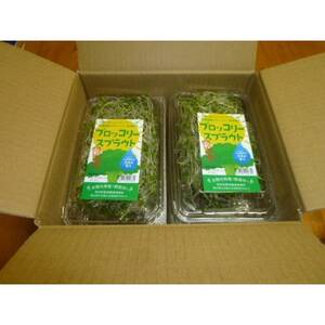ブロッコリースプラウト 40g×10パック【配送不可地域:離島】【1701975】