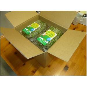 ブロッコリースプラウト 40g×10パック【配送不可地域:離島】【1701975】