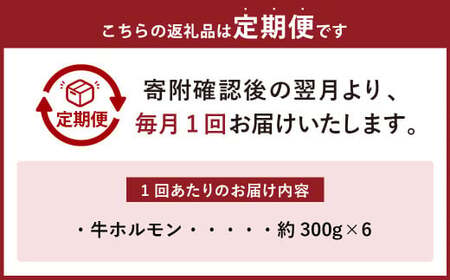 【6ヶ月定期便】焼くだけ総菜 肉の卸 石井 牛ホルモン 約1.8kg（約300g×6）×6回　計約10.8kg ／ 6回定期便ホルモン 牛肉 お肉 肉 簡単調理 味付き たれ漬け おかず 総菜 惣菜 グルメ 定期便 岡山県 美咲町 冷凍
