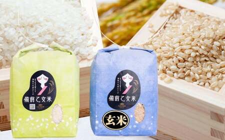 備前乙女米 白米 2kg×1袋・玄米 2kg×1袋（計約4kg）【2025年10月下旬～2026年9月下旬発送予定】 ／ 2種類 お米 米 おこめ こめ コメ ご飯 ライス 精米 モチモチ 石原果樹園 岡山県 美咲町