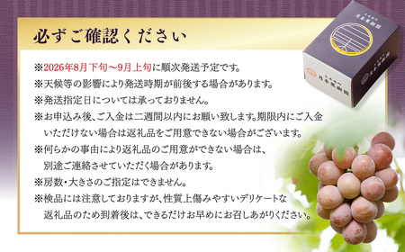 【種なし】 岡山県産 クイーンニーナ 1kg箱（2~3房入り） 【2026年8月下旬-9月上旬発送予定】 ／ ぶどう ブドウ 葡萄 大粒 種なし 種無し フルーツ 果物 くだもの 果実