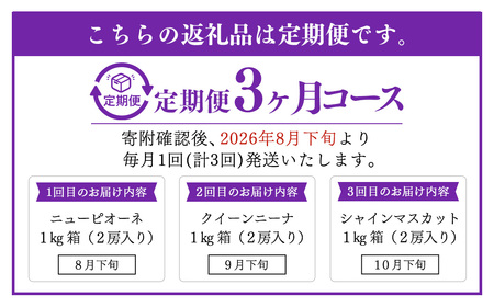 【定期便3回】 ［種なし］ 岡山県産 ニューピオーネ ・ クイーンニーナ ・ シャインマスカット 1kg箱（2房入り）【2026年8月下旬発送開始】 ／ ぶどう ブドウ 葡萄 大粒 種なし 種無し フルーツ 果物 くだもの 果実