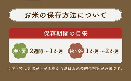 令和7年産 里海米 （キヌムスメ） 10kg 【2025年10月上旬から2026年9月下旬発送予定】／ きぬむすめ お米 米 精米 白米 ご飯 岡山県 美咲町