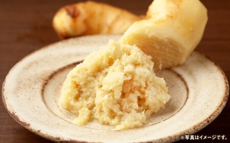 美咲しょうが 1kg ／ 生姜 しょうが ジンジャー