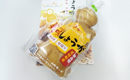 美咲しょうが 1kg ／ 生姜 しょうが ジンジャー