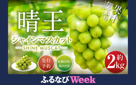 【ふるなびWEEK対象】シャインマスカット 晴王 2kg FN-Limited-PR ぶどう 葡萄 フルーツ 果物 岡山県 岡山県産 2026年 先行予約 【2026年9月下旬-10月下旬発送予定】