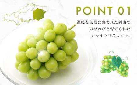 【ふるなびWEEK対象】シャインマスカット 晴王 2kg FN-Limited-PR ぶどう 葡萄 フルーツ 果物 岡山県 岡山県産 2026年 先行予約 【2026年9月下旬-10月下旬発送予定】