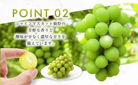 【ふるなびWEEK対象】シャインマスカット 晴王 2kg FN-Limited-PR ぶどう 葡萄 フルーツ 果物 岡山県 岡山県産 2026年 先行予約 【2026年9月下旬-10月下旬発送予定】