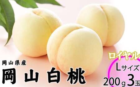 岡山白桃 ロイヤル 3玉 × 約200g 計約600g 岡山県産 (早生種・中生種) 【2026年7月上旬~8月下旬迄発送予定】 / 白桃 桃 もも 果物 果実 フルーツ 岡山県 美咲町 冷蔵