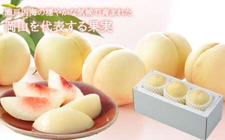 岡山白桃 ロイヤル 3玉 × 約200g 計約600g 岡山県産 (早生種・中生種) 【2026年7月上旬~8月下旬迄発送予定】 / 白桃 桃 もも 果物 果実 フルーツ 岡山県 美咲町 冷蔵