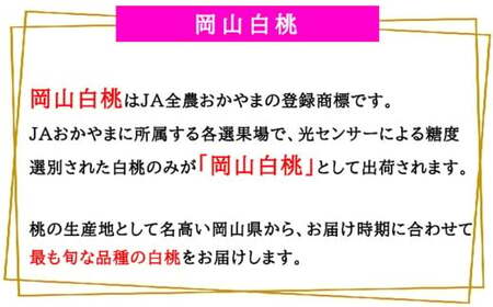 岡山白桃 ロイヤル 3玉 × 約200g 計約600g 岡山県産 (早生種・中生種) 【2026年7月上旬~8月下旬迄発送予定】 / 白桃 桃 もも 果物 果実 フルーツ 岡山県 美咲町 冷蔵