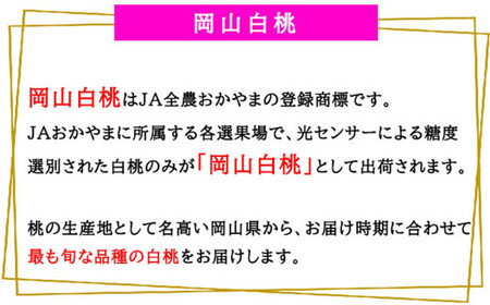 岡山白桃 エース 4～8玉 約1.2kg 岡山県産 （早生種・中生種） 【2026年7月上旬～8月下旬迄発送予定】 ／ 白桃 桃 もも 果物 果実 フルーツ 岡山県 美咲町 冷蔵
