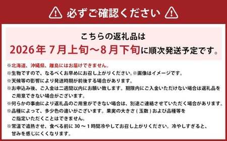岡山白桃 エース 5~10玉 約2kg 岡山県産 (早生種・中生種) 【2026年7月上旬~8月下旬迄発送予定】 / 白桃 桃 もも 果物 果実 フルーツ 岡山県 美咲町 冷蔵