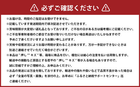 岡山白桃 エース 5~10玉 約2kg 岡山県産 (早生種・中生種) 【2026年7月上旬~8月下旬迄発送予定】 / 白桃 桃 もも 果物 果実 フルーツ 岡山県 美咲町 冷蔵