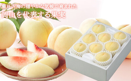 岡山白桃 エース 5~10玉 約2kg 岡山県産 (早生種・中生種) 【2026年7月上旬~8月下旬迄発送予定】 / 白桃 桃 もも 果物 果実 フルーツ 岡山県 美咲町 冷蔵