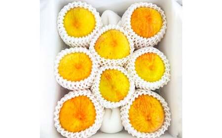 岡山県美咲町産 桃 【黄金桃】約2kg 【2026年9月発送予定】/ マンゴーピーチ 黄桃 もも 果物 果実 フルーツ 国産 岡山県 美咲町 冷蔵