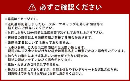 岡山県美咲町産 桃 【黄金桃】約2kg 【2026年9月発送予定】/ マンゴーピーチ 黄桃 もも 果物 果実 フルーツ 国産 岡山県 美咲町 冷蔵
