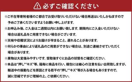 紫苑 1房(700g以上) 化粧箱入り 【2026年10月下旬~11月下旬まで発送予定】 / 葡萄 ぶどう 果物 果実 フルーツ 種なし 岡山県 美咲町 冷蔵