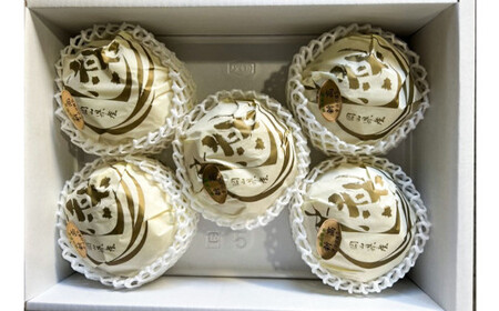 新高 梨 3～6玉 （約4kg） 化粧箱入り【2026年9月下旬～11月上旬迄発送予定】 ／ なし 和梨 果物 果実 フルーツ 大玉 岡山県 美咲町 常温