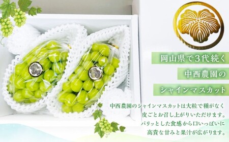 【先行予約】 岡山県産 シャインマスカット 2kg 1箱 / フルーツ 果物 くだもの 食品 人気 おすすめ 【2026年9月下旬-10月下旬発送予定】