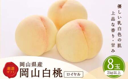 白桃 8玉 （2kg以上） 等級 ： ロイヤル 化粧箱入り 【2026年7月上旬～8月上旬迄発送予定】 ／ 桃 もも モモ はくとう 果物 くだもの フルーツ 果実 デザート 冷蔵 7,020円