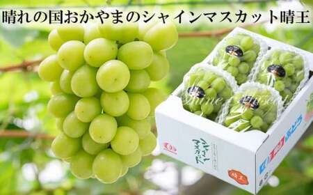 晴王　11日or12日発送 晴王 11日or12日発送