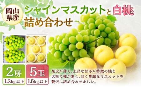 桃 ぶどう 2026年 先行予約 岡山 白桃 5玉と シャイン マスカット 2房 詰合せ 合計2.7kg以上  【2026年7月上旬～8月上旬 発送予定】 もも 葡萄 岡山県産 国産 フルーツ 果物 環山堂 くだもの お取り寄せ 贈り物 ギフト 国産