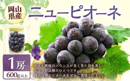 ぶどう 2026年 先行予約 ニュー ピオーネ 1房 600g以上 【2026年8月下旬~9月下旬 発送予定】 ブドウ 葡萄 岡山県産 国産 フルーツ 果物 ギフト 環山堂 くだもの お取り寄せ 贈り物 ギフト 国産