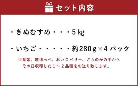 【令和7年産】 新米・精米 きぬむすめ5㎏＆いちご詰合せ（約280g×4パック） 【2026年1月上旬から5月上旬頃発送予定】いちご お米 白米 セット 冷蔵 岡山県 美咲町
